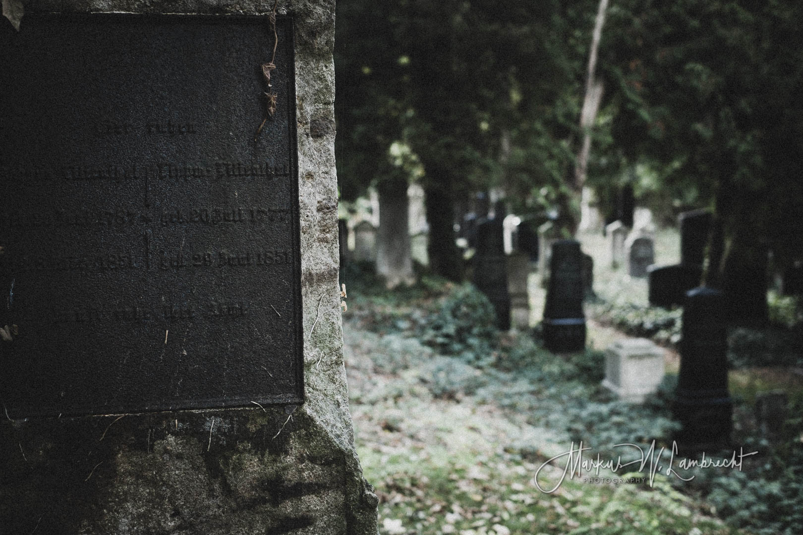 Steinheim (Westfalen), Jüdischer Friedhof